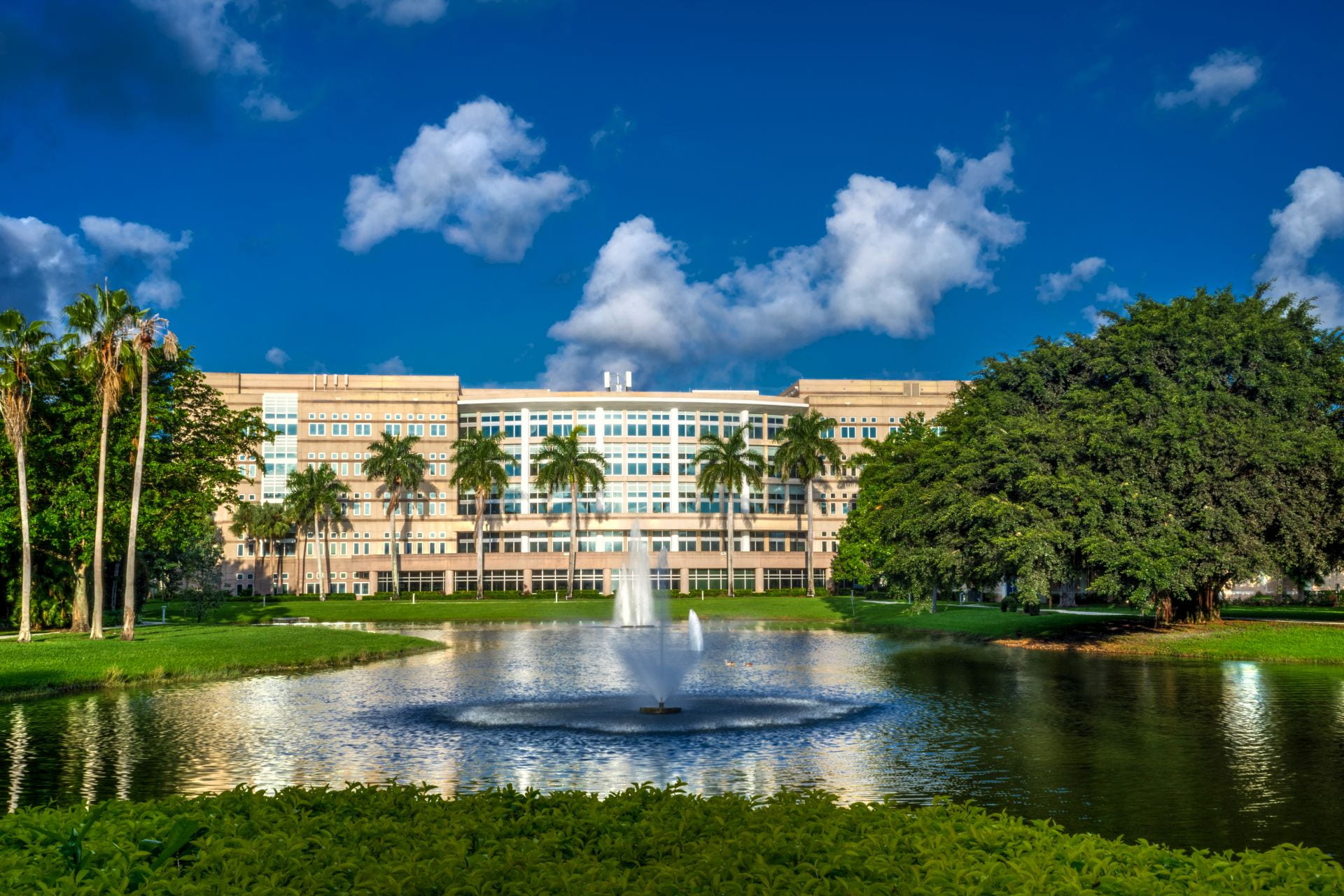 Smooth Campus Visits in Fort Lauderdale – Car Rentals for Nova Southeastern University & Broward College (Onyx Unlimited Car Rentals, Fort Lauderdale, FL)