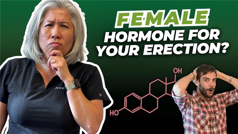 Why Men Need Estrogen for Great Sex
