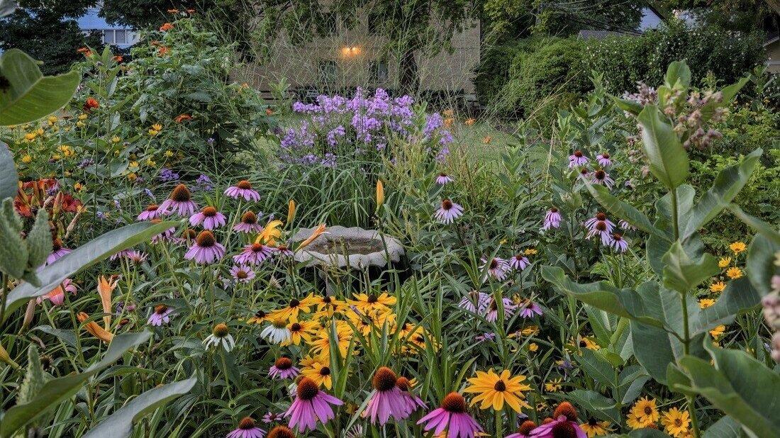 Backyard Birdseed in Brandon, FL: Where Nature Comes Alive