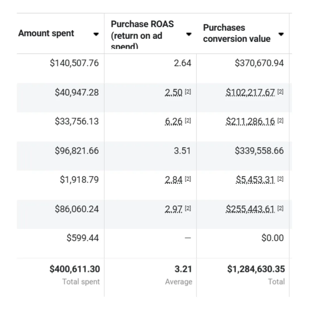 Ecommerce client dashboard showing ROAS increase