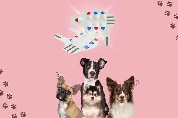 Image of a happy dog wearing Merlin's Pet Therapy Wrap, surrounded by hearts or other symbols of love and appreciation.