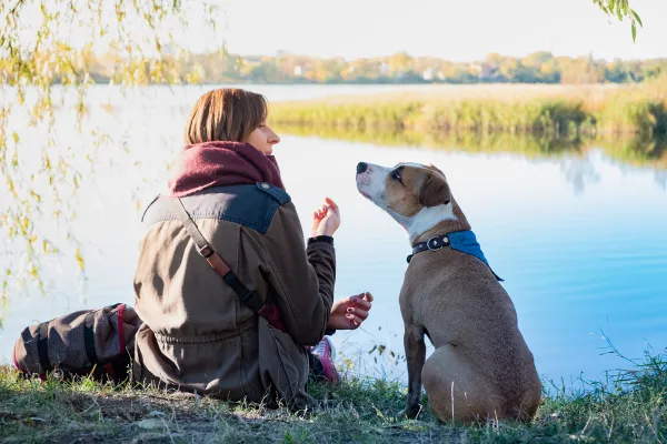 Image of a dog communicating through body language, vocalizations, or scent.