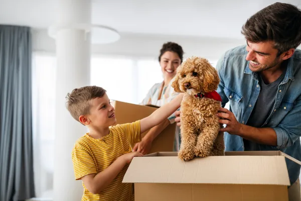 Image of a new dog exploring their new home.