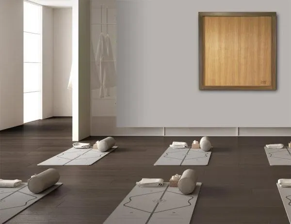 How Zazen Scalar Panels Support Wellness in Your Space