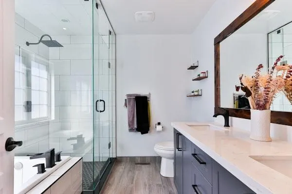 Bathroom Mold