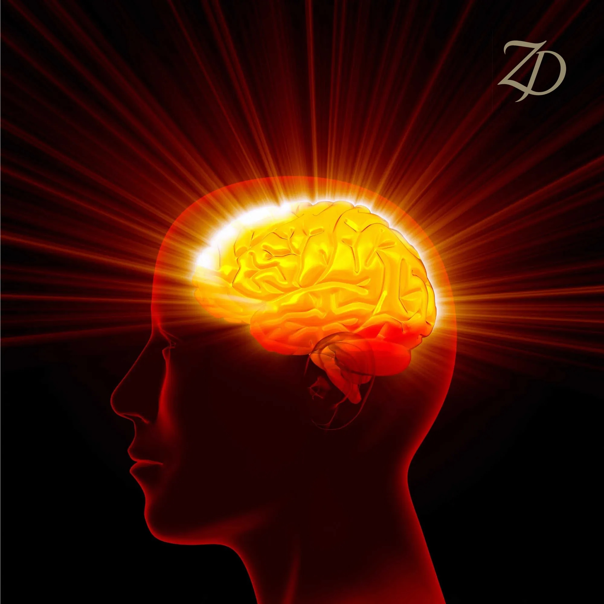 Manifest Không Phải Lúc Nào Cũng Phải Thiền