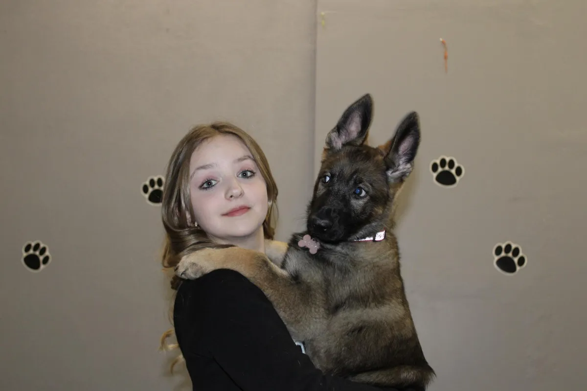 Puppy