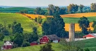 Homestead 