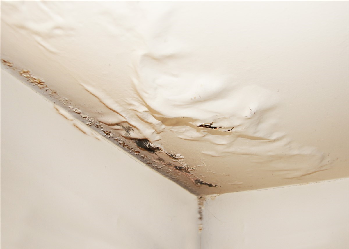 How to Spot a Roof Leak Early (And What to Do About It)