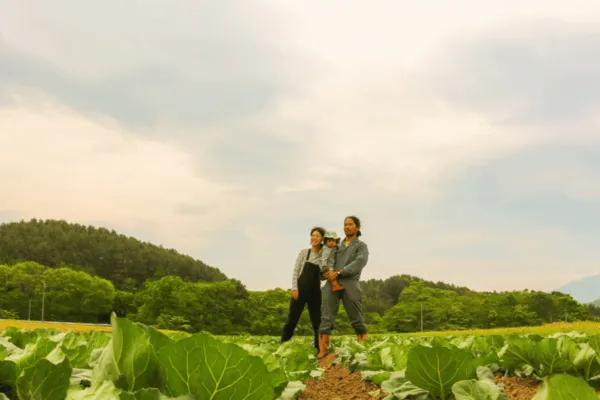 Couple in a field