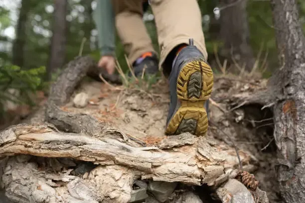 When the Shot Misses: A Hunting Accident That Changed Everything