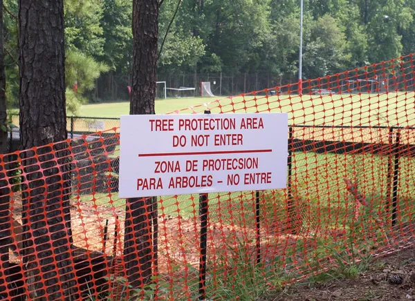 Tree Protection Rules