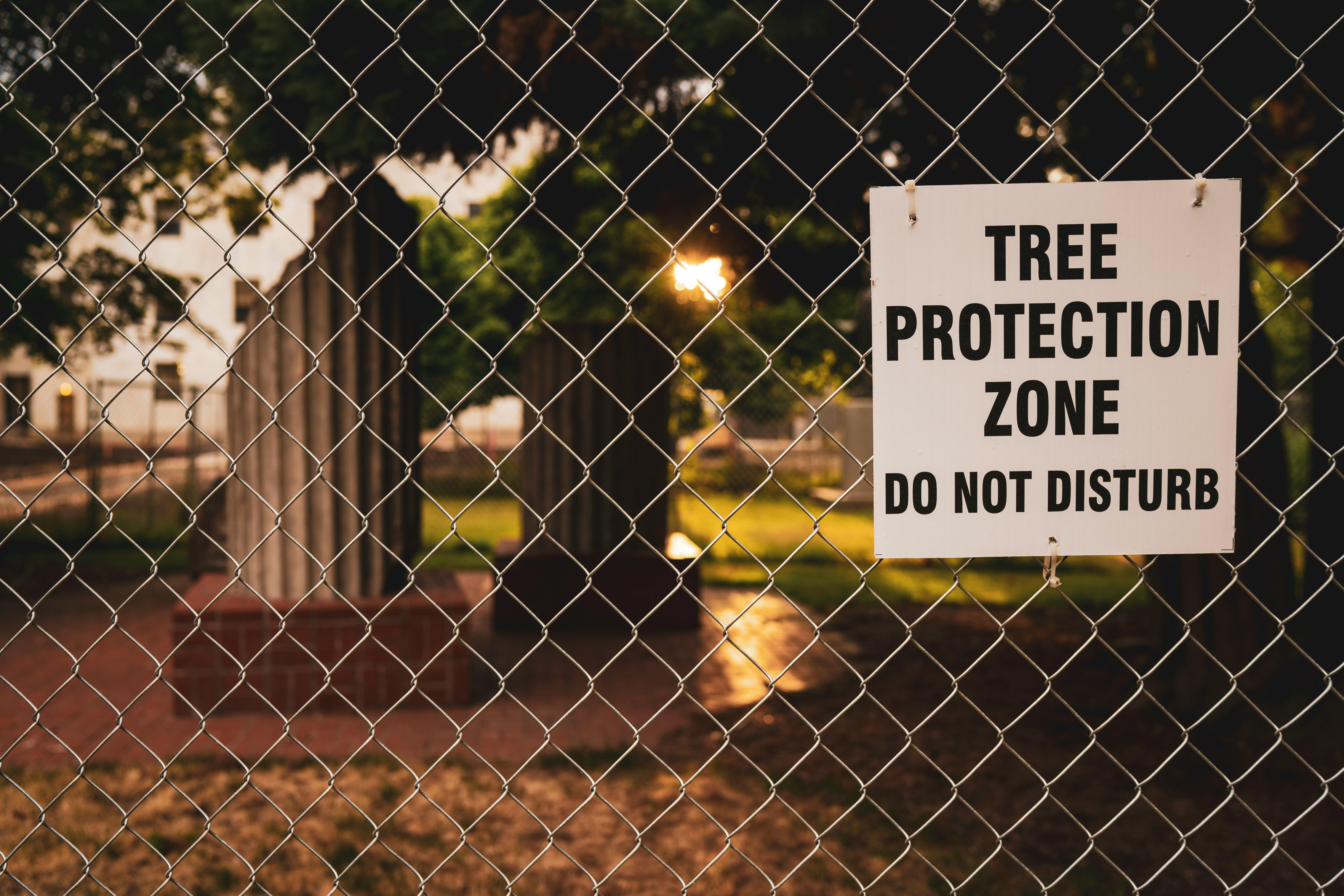 tree protection
