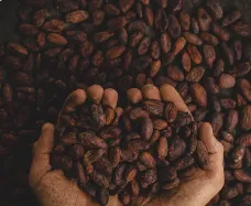 Why Fair Trade Chocolate? Fair Question!