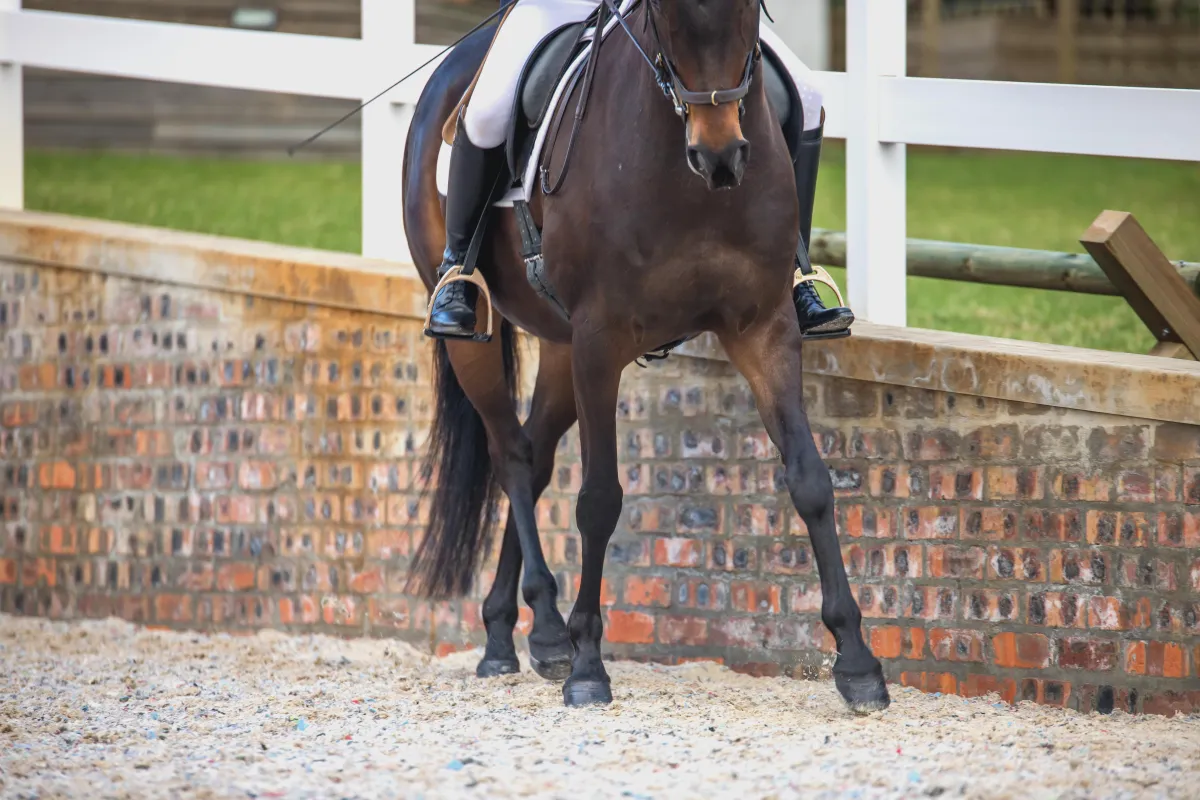 Balance in the Arena and in Life