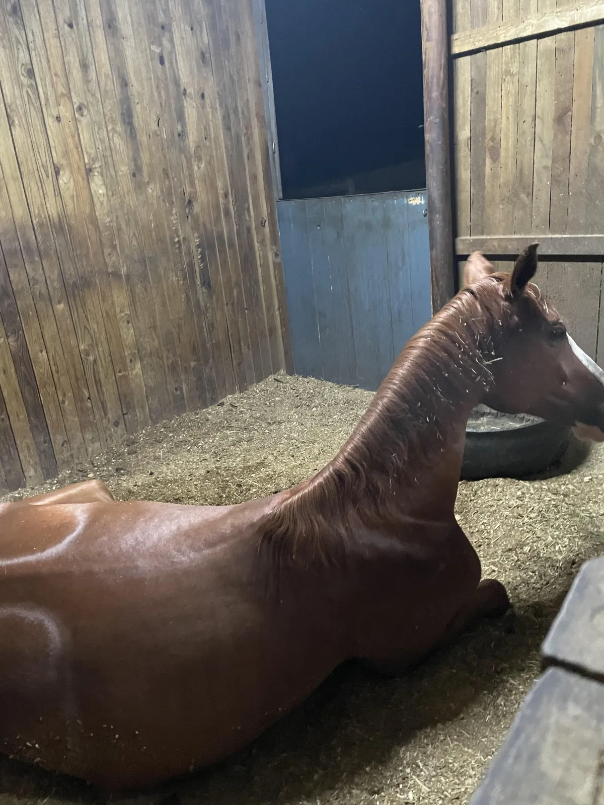 The Space Between: Why Progress Often Happens In The Pause