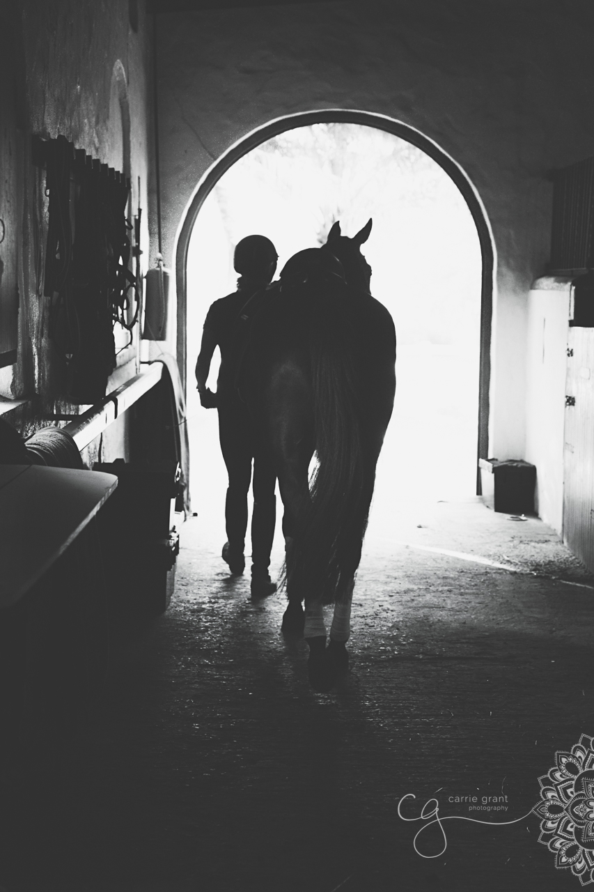 The Shadow in the Stable: Unmasking the Culture of Bullying in Equestrian Sport