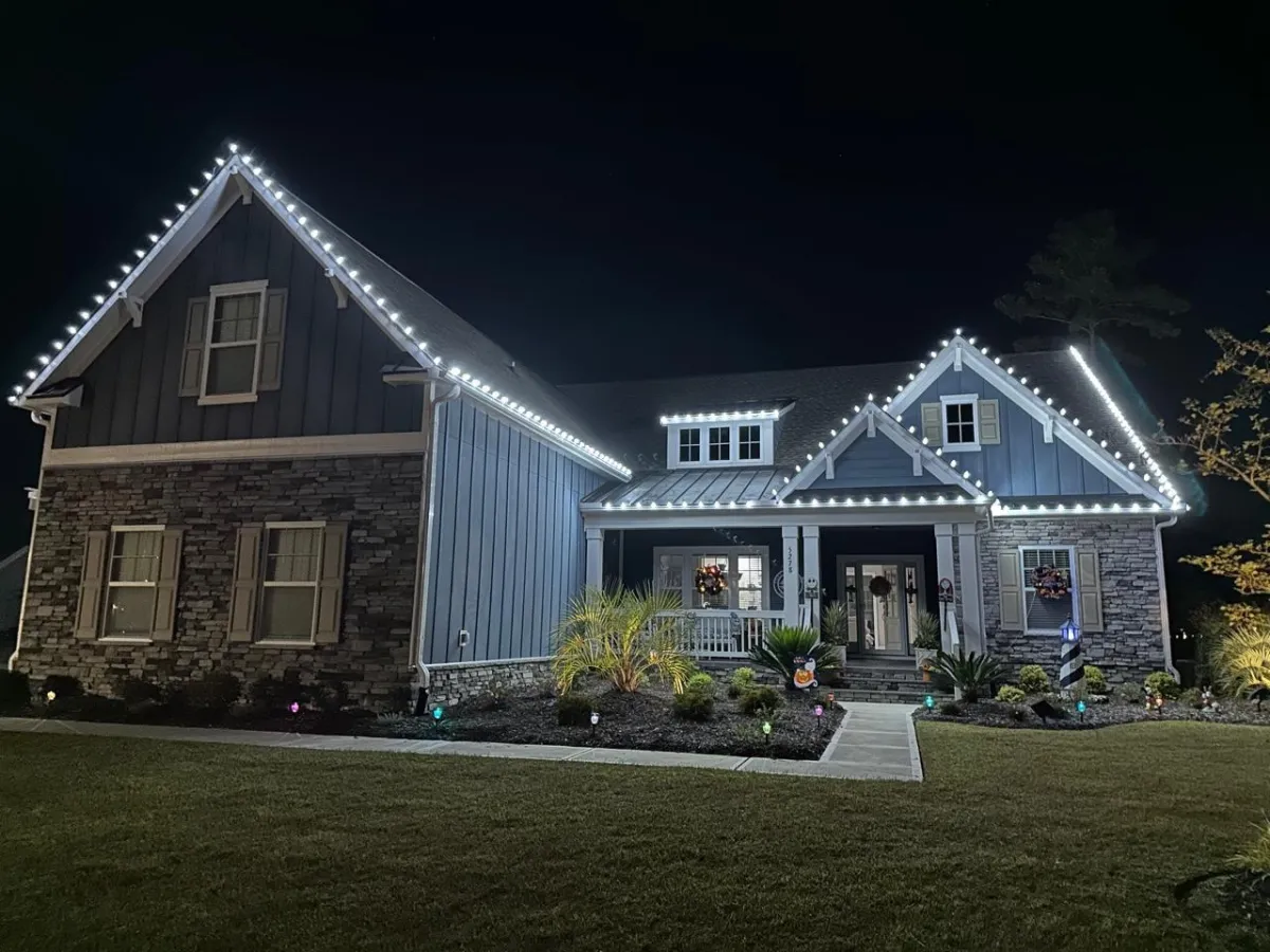 Professional Christmas Lights