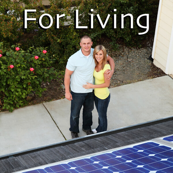 Eco-friendly family garden with evergreen flowering shrubs, patio and solar panels