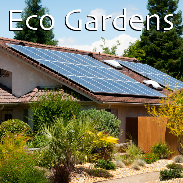 Eco-friendly modern garden with solar panels and drought-tolerant planting