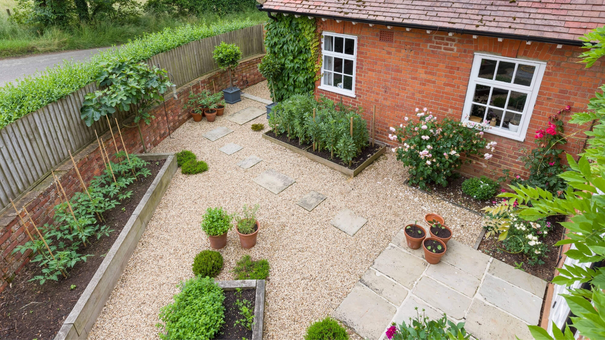 Small edible courtyard garden in Banstead with gravel paths, fruit trees, raised beds and container planting