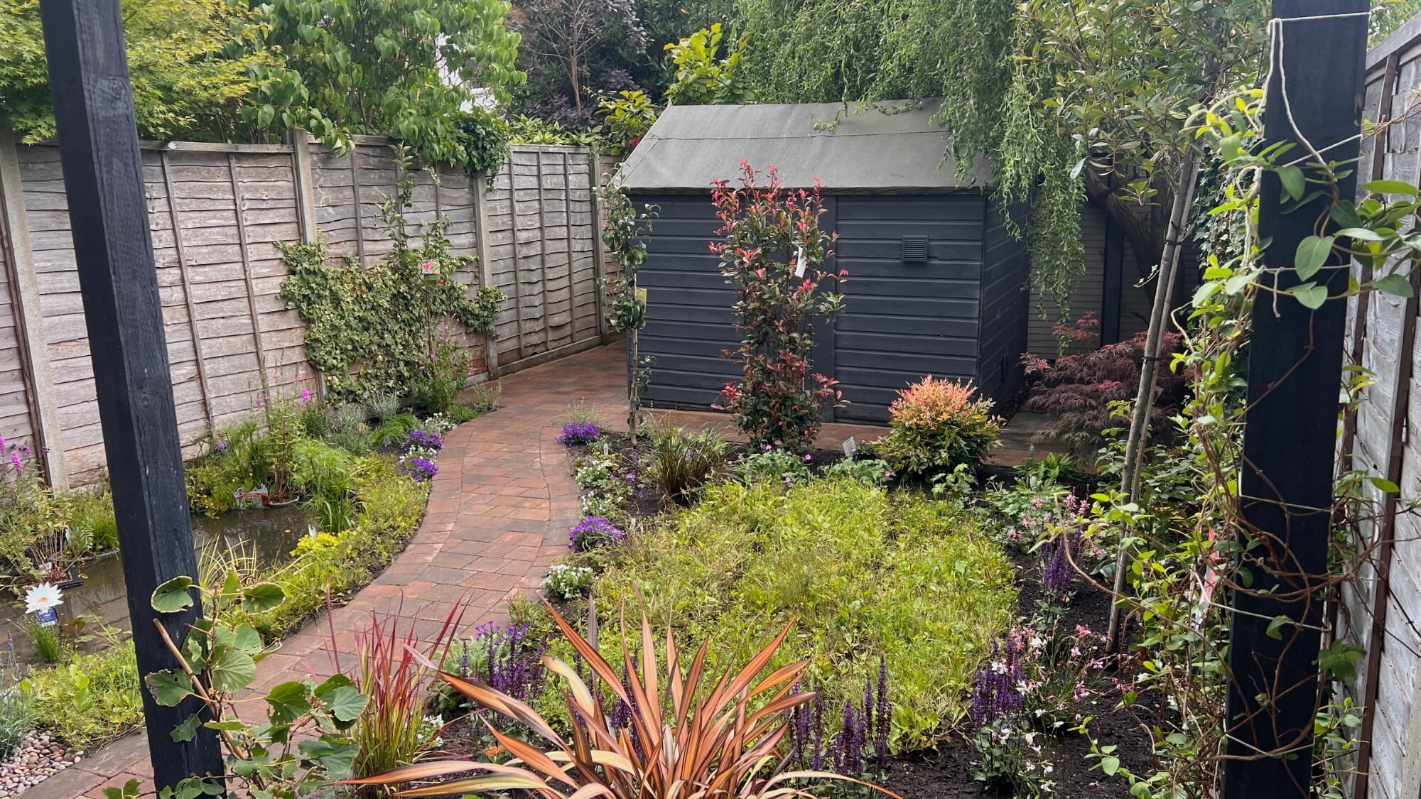 Transformed small garden with meadow-style planting and improved layout