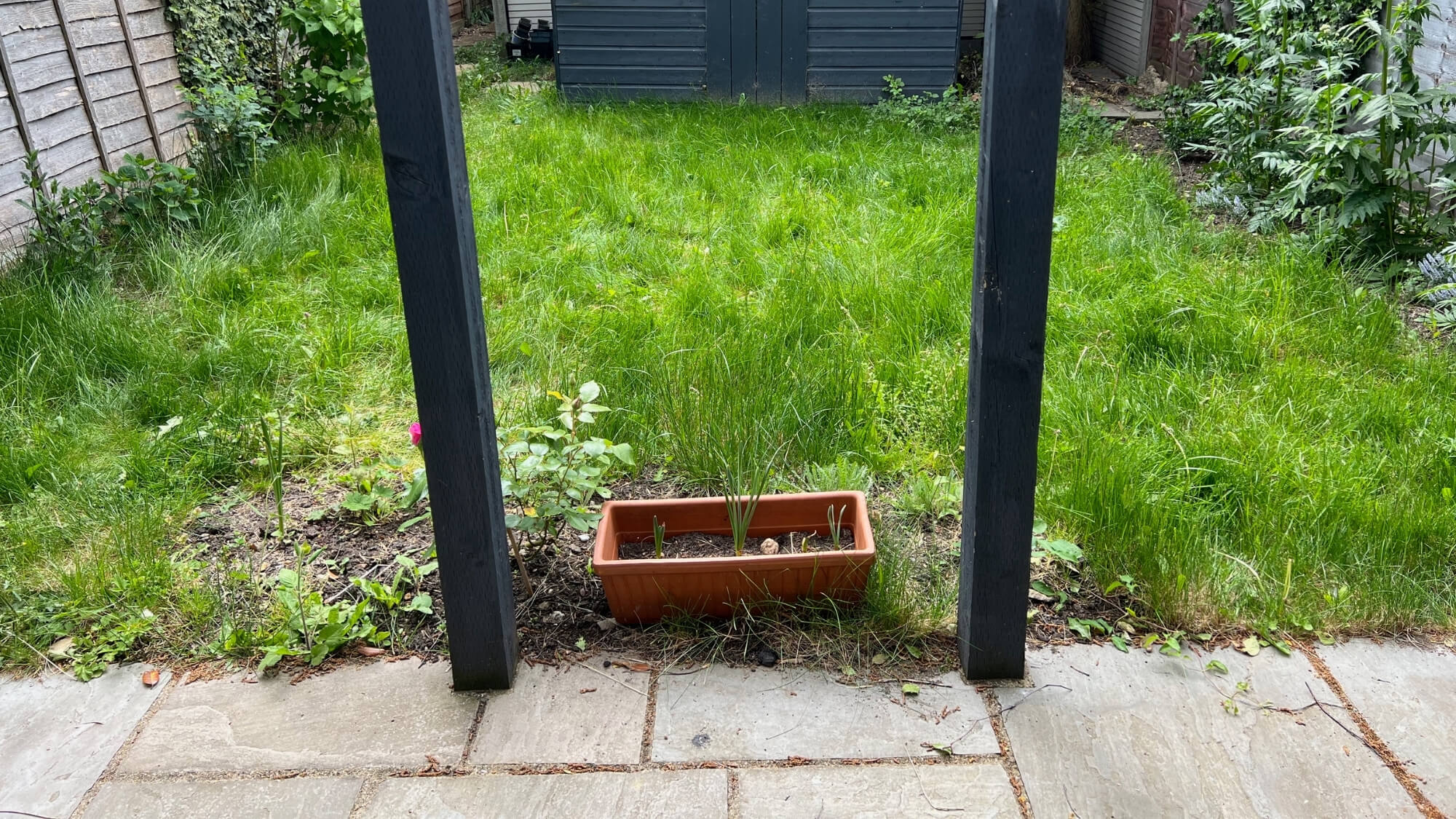 Compact urban garden before installation of wildlife pond and planting scheme