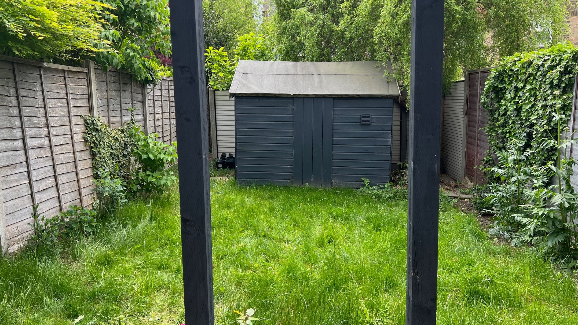 Small overgrown garden in South Croydon before wildlife garden redesign