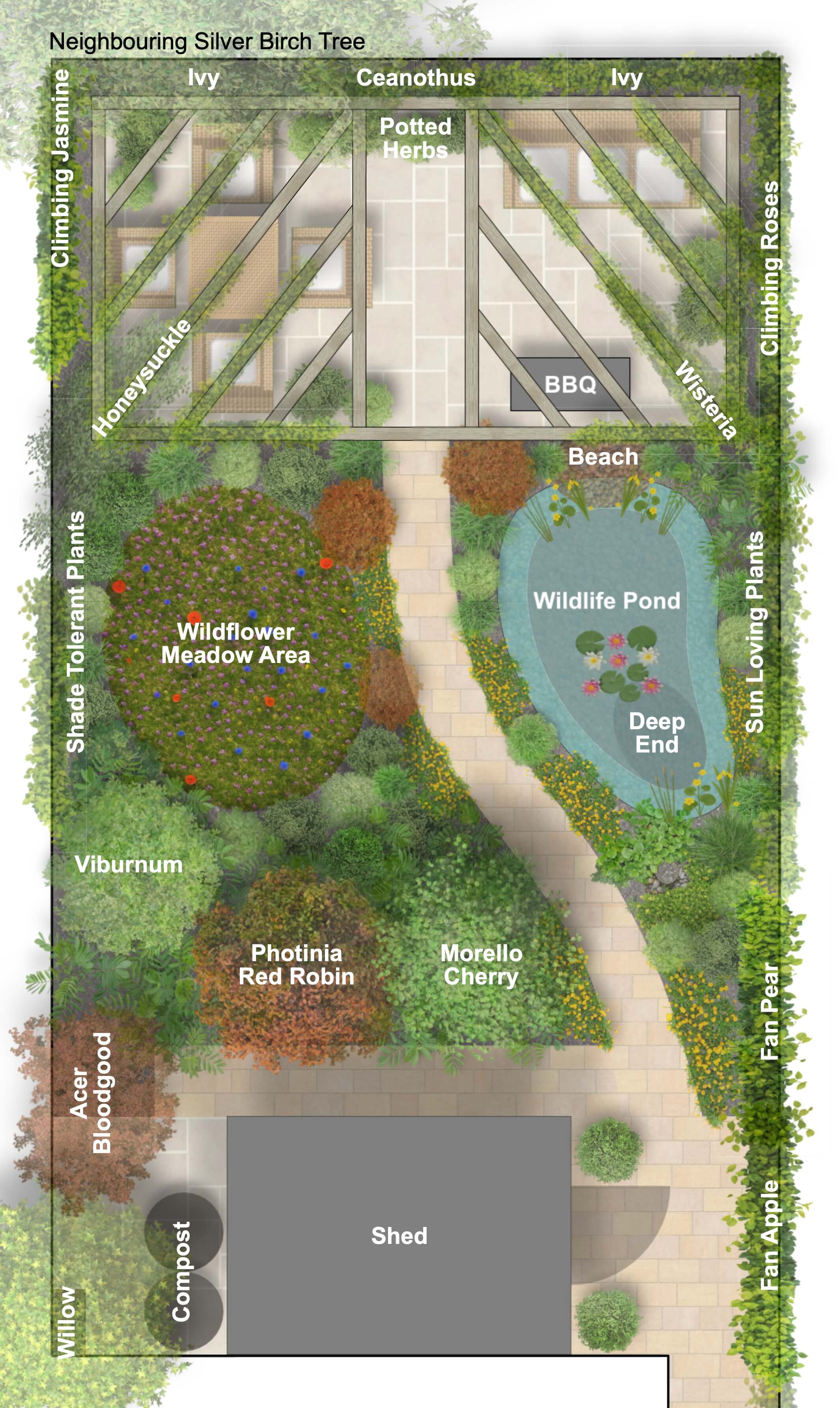 Rendered concept plan showing pond, pathways and planting zones for wildlife garden