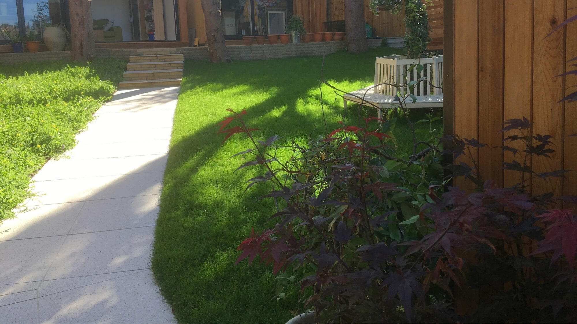 After: new paved pathway, lawn and wildflower meadow planting, improving garden flow in a Carshalton Beeches garden redesign