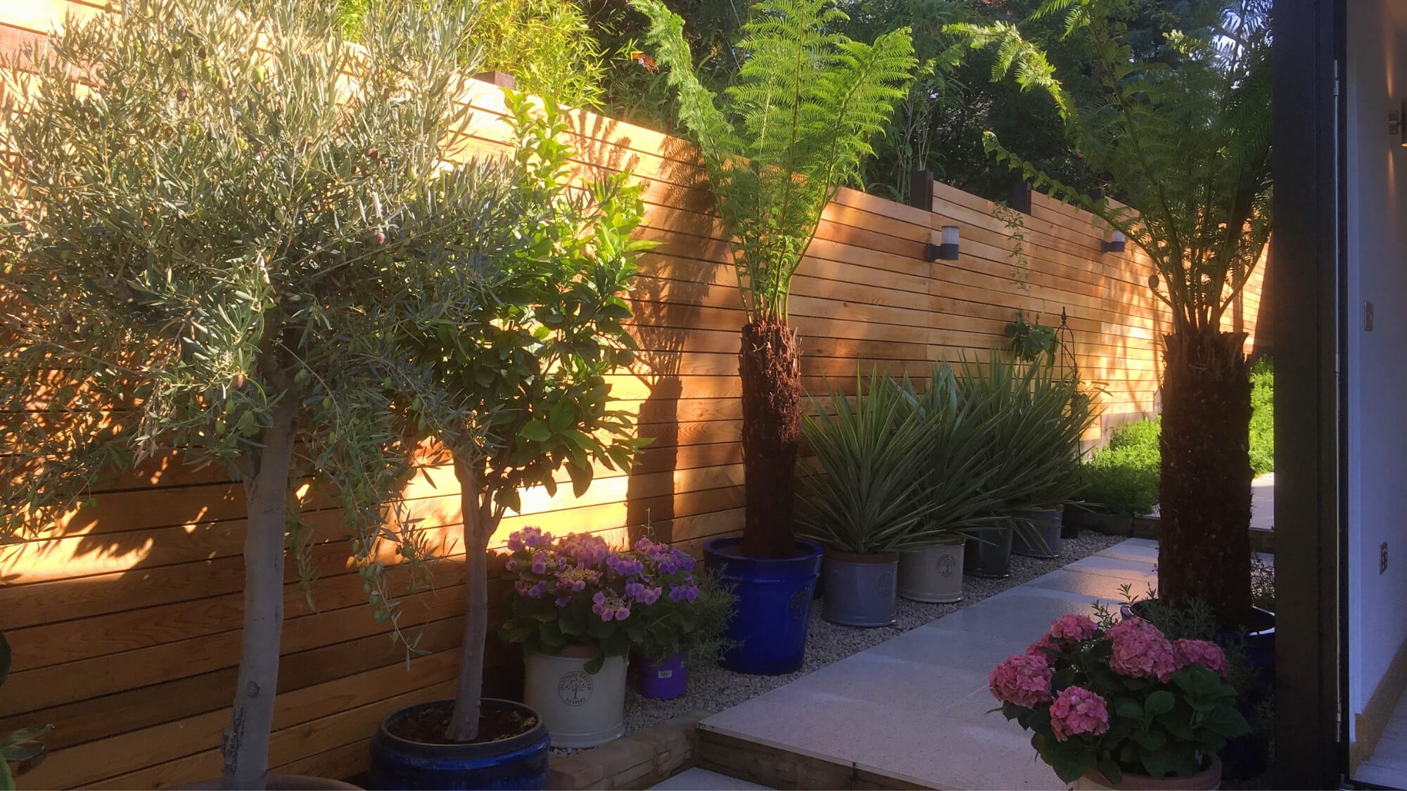 After: bespoke cedar timber screening and structured planting transforming a South London garden boundary