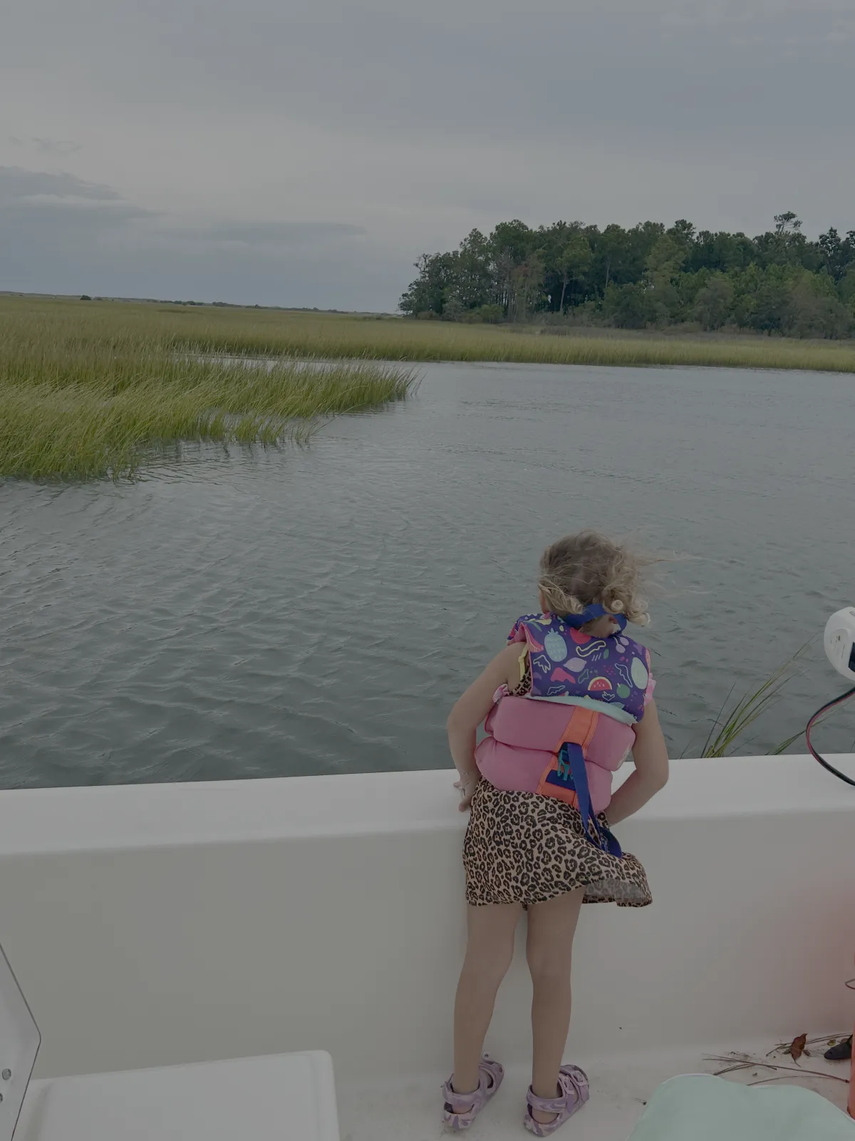 Kid looking off a boat for fish