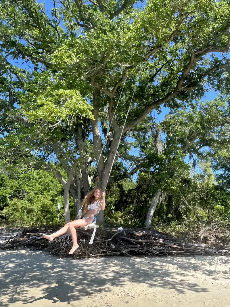 Tree Swing on a Beach Island