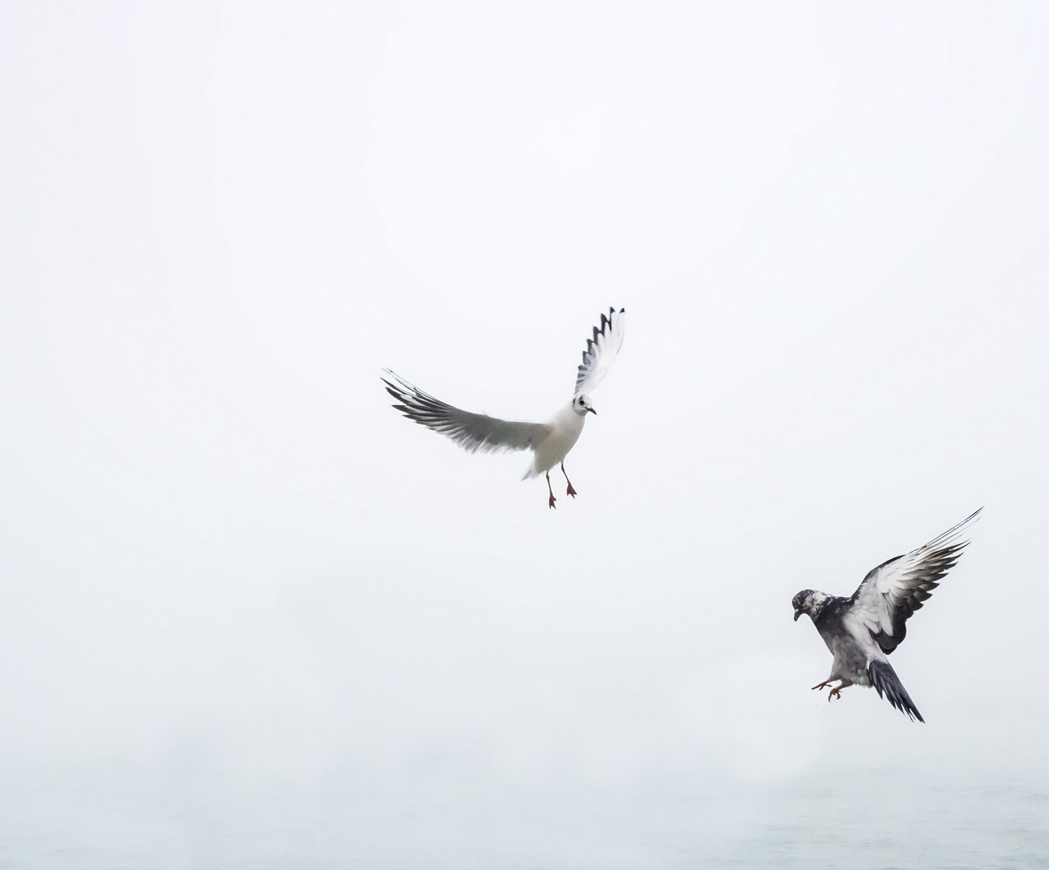 Why on Earth Do I Need to Be Born Again?