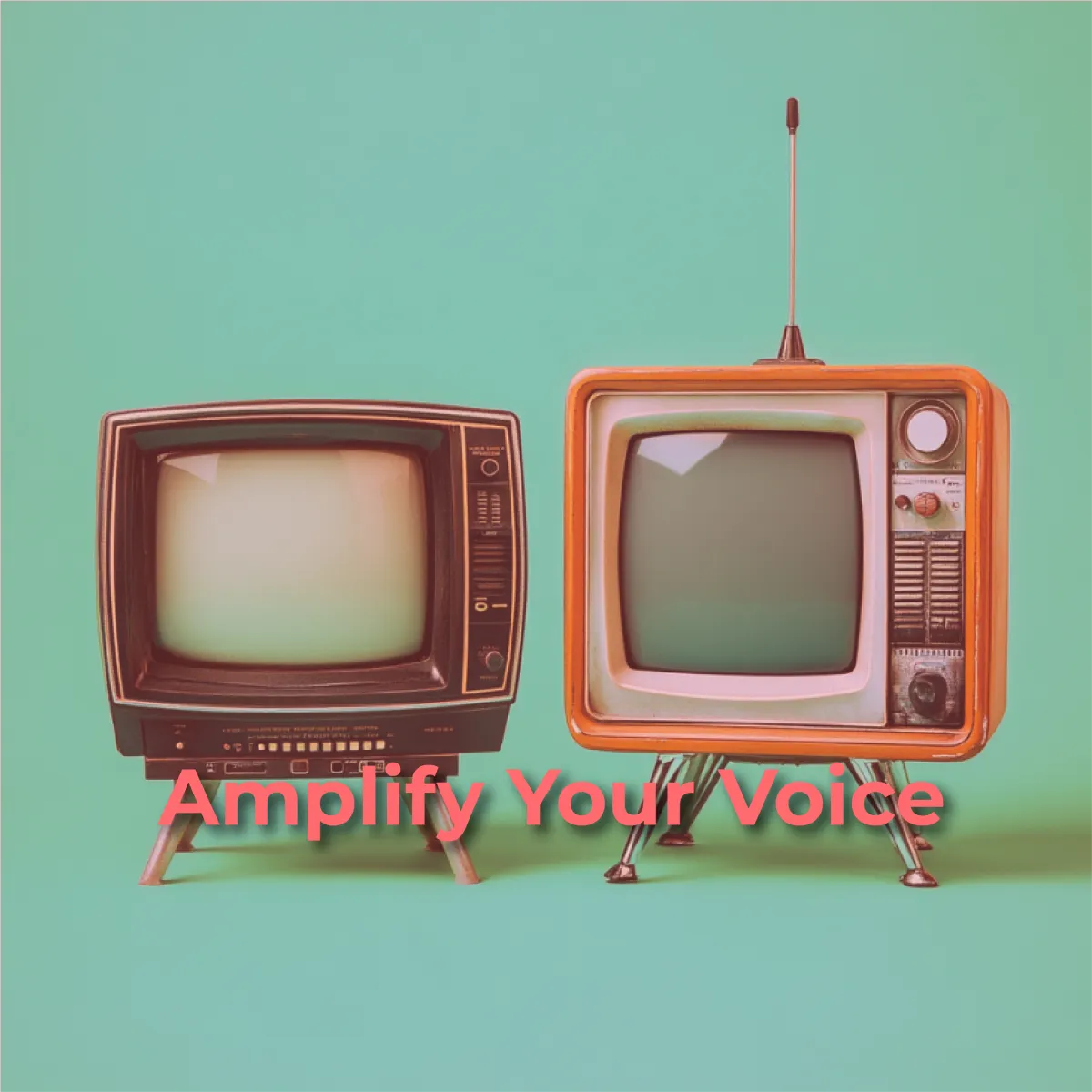 Getting Your Message Heard: Navigating Media Distribution