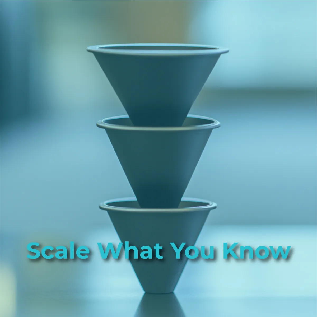 The Science of Selling Online: Optimizing Your Sales Funnel