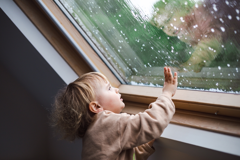 What Can You Do to Protect Your Windows Against Hail Damage