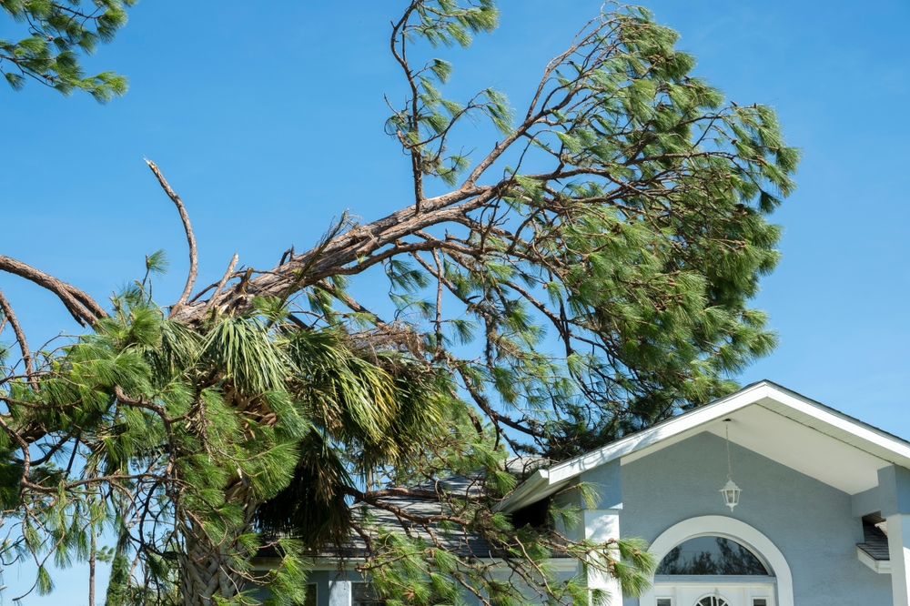 What to Do After a Windstorm Damages Your Roof