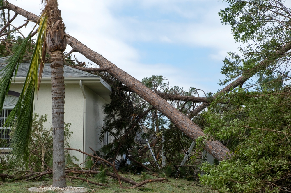 How to File a Roofing Insurance Claim After Storm Damage