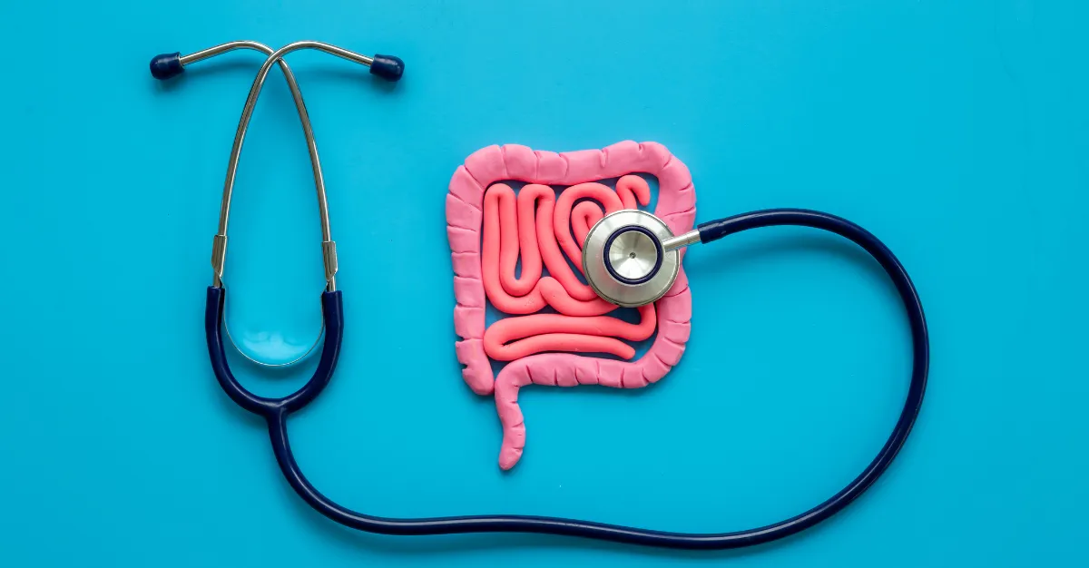 Gut Health Strategies for IBD Flares