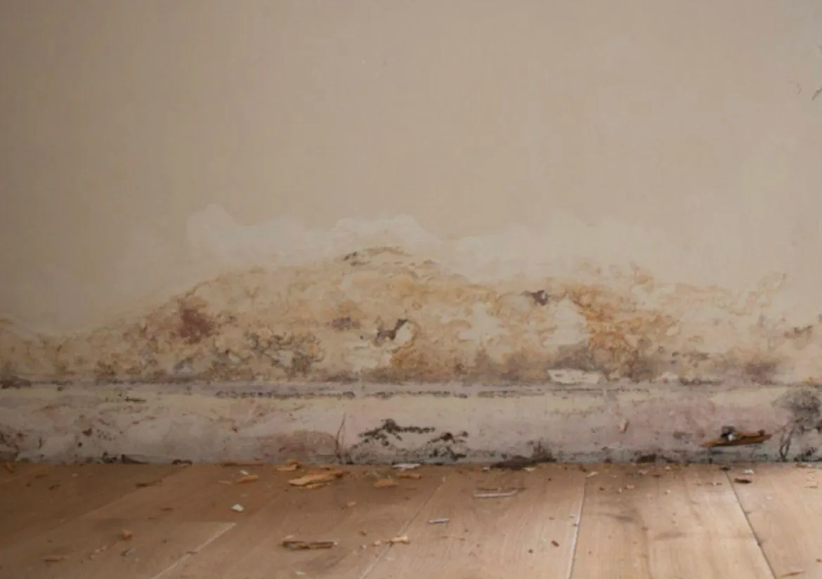 damp proofing