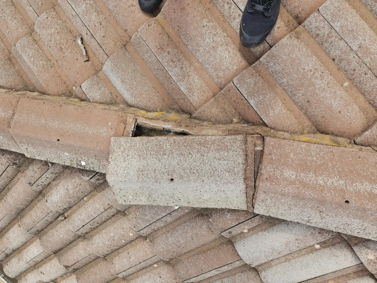 Ridge Capping in Melbourne: Why Roof Maintenance Every 10–15 Years Could Save You Thousands