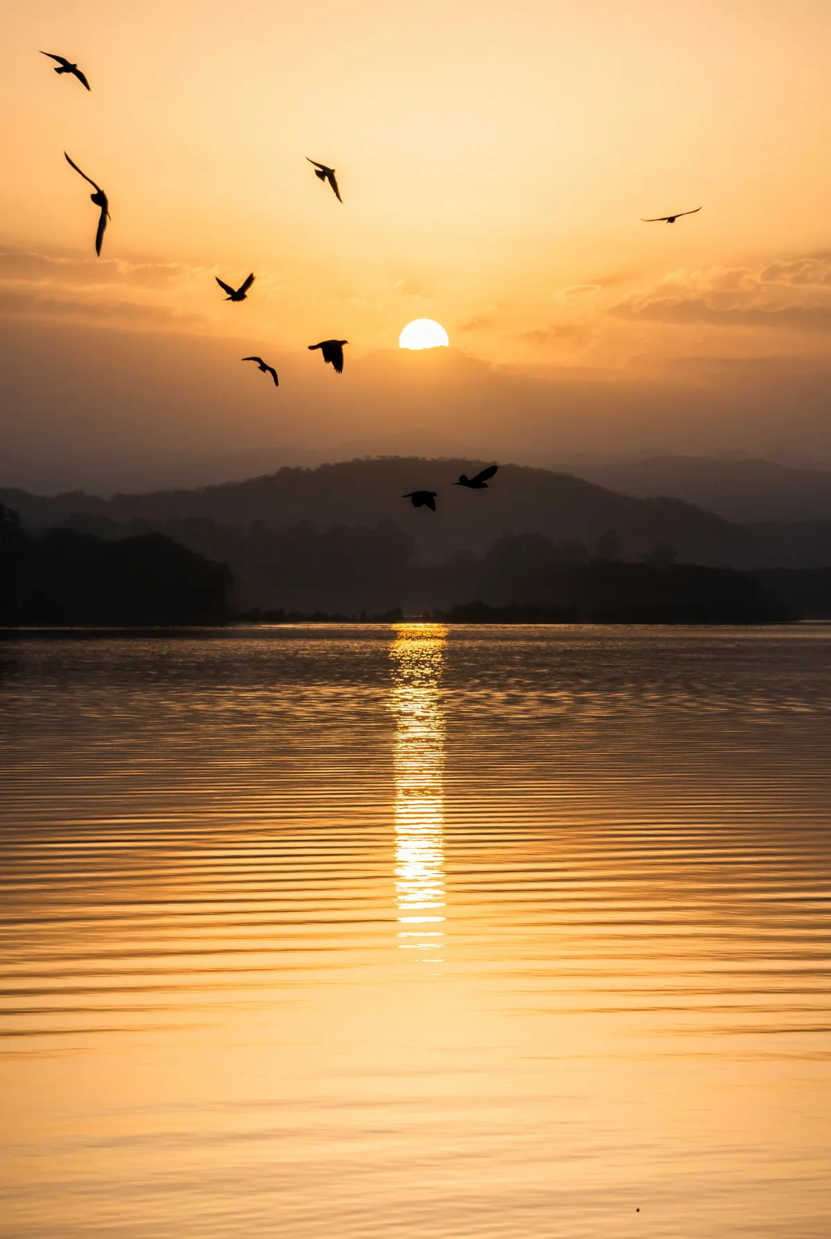 Calm sunrise, symbolizing a fresh start and daily growth.