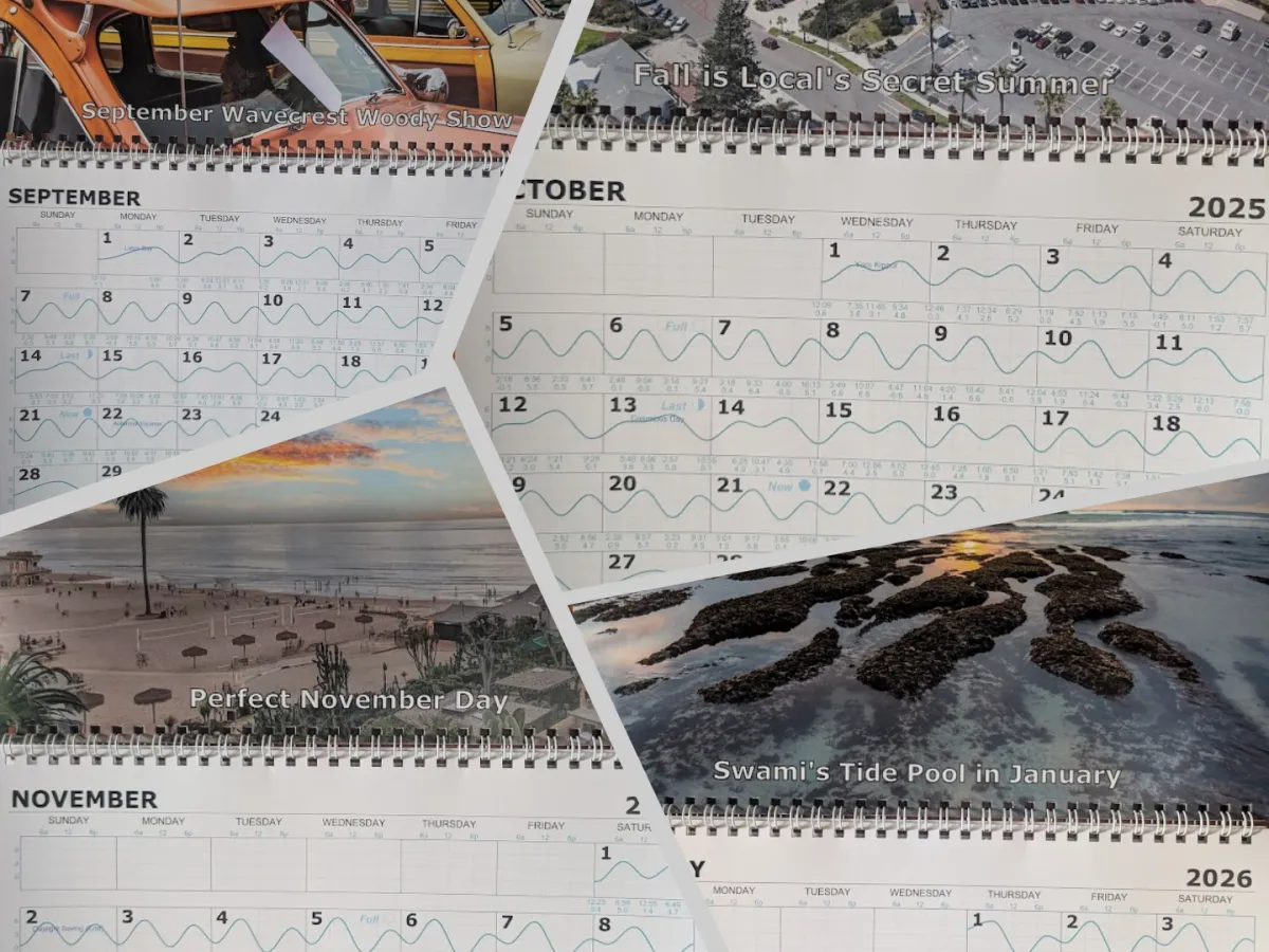 Moonlight Beach Tides and Surf Guide | Ocean Blue Tidelines Calendar
