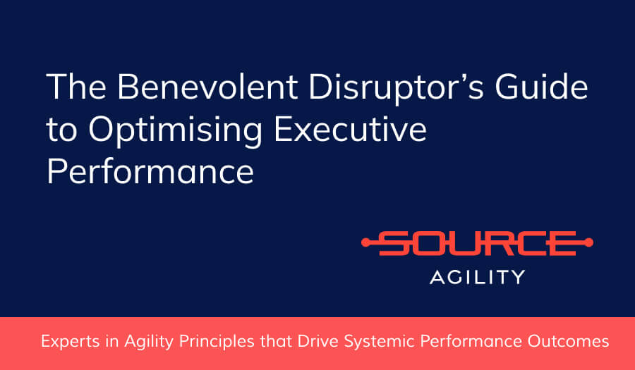 The Benevolent Disruptor’s Guide to Optimising Executive Performance