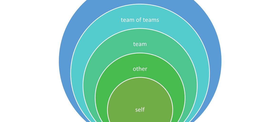 The five systems of agile coaching