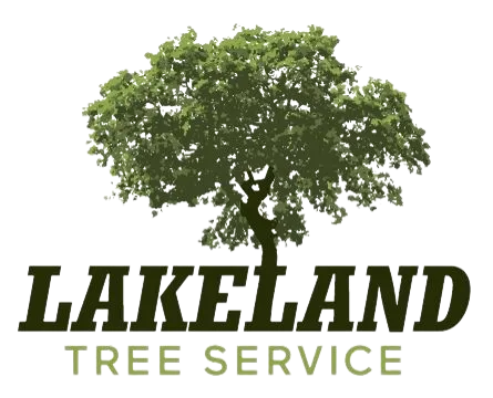 Local tree care crew in safety gear working on mature trees near a lakeside property