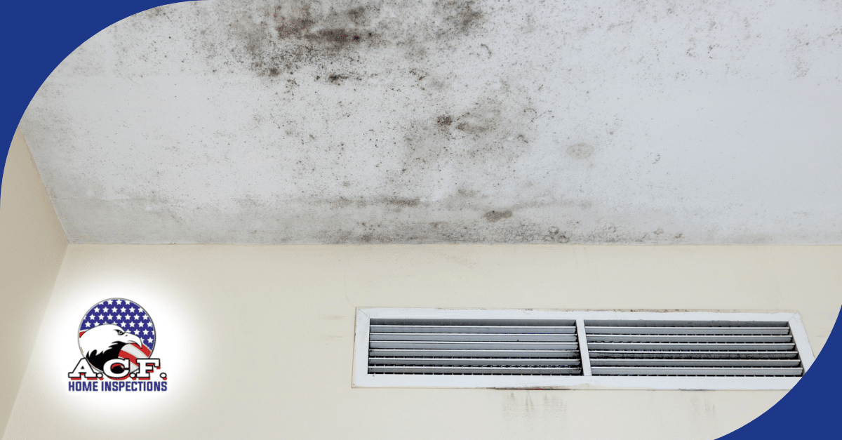 Common Mold Indicators Every Home Inspector Searches For