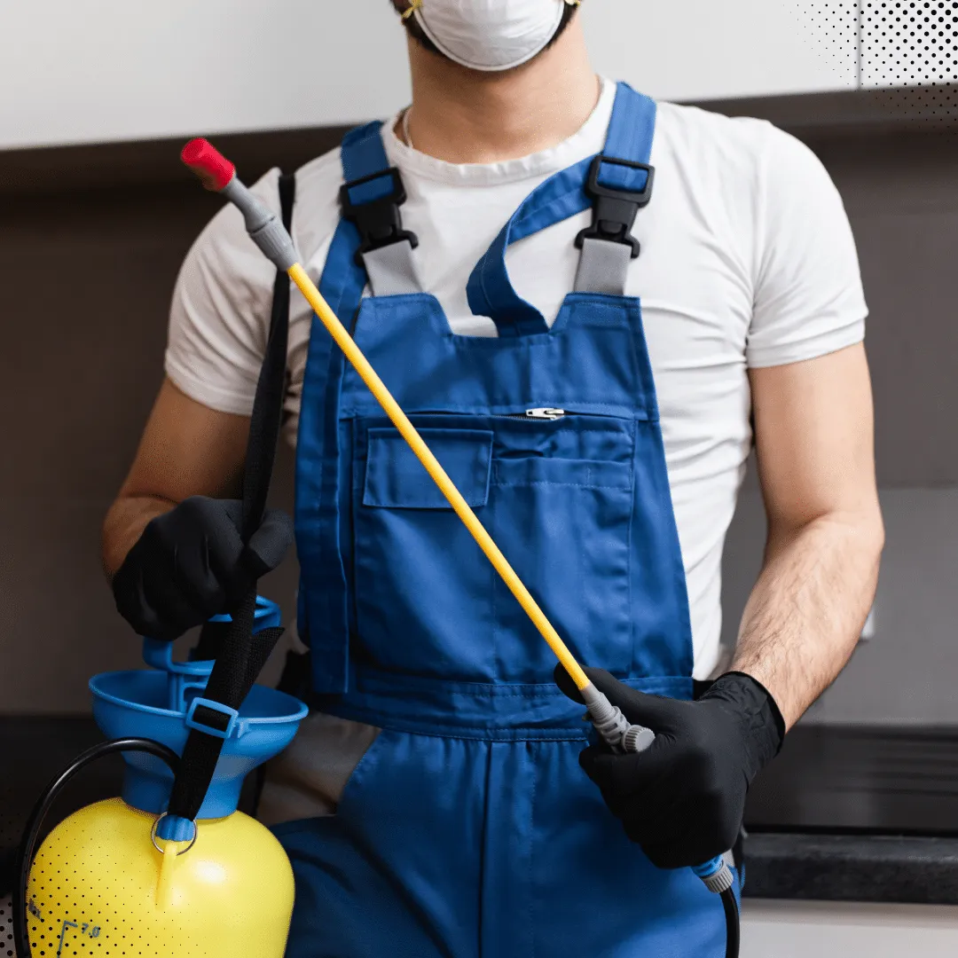 Keep Florida Homes Pest-Free This Winter: Essential Tips For Homeowners