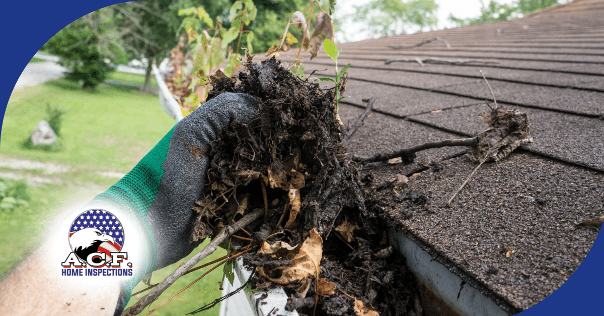 Florida Home Inspection For Hurricane Roof Safety